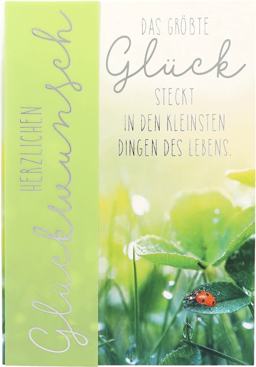 Emotions  1 Stück Geburtstagskarte 31/Herzlichen Glückwunsch Das größte 