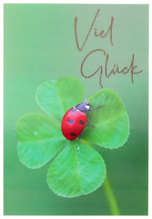 Depesche Klappkarte 3D ART, 12,1x17,5cm, Geburtstagskarte Grußkarte 20