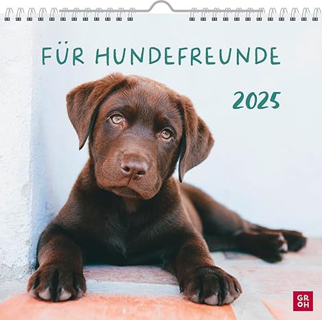 Wandkalender 2025: Für Hundefreunde, Monatskalender zum Aufhängen