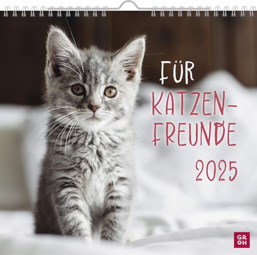 Wandkalender 2025: Für Katzenfreunde: Katzenkalender 202-Monatskalender zum Aufhängen