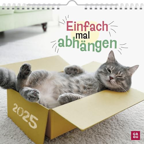 Wandkalender 2025: Einfach mal abhängen: Katzenkalender - Perfekt für Katzenfans