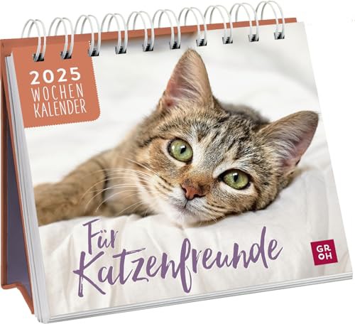 Mini-Wochenkalender 2025: Für Katzenfreunde: Katzenkalender zum Aufstellen. Tischkalender