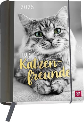 Buchkalender 2025: Für Katzenfreunde: Katzenkalender goldveredelt. Wochenplaner | Terminplaner