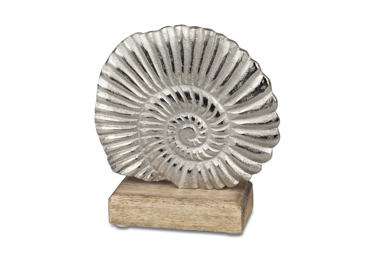 Geschenke und maritime Dekoration Muschel 13cm aus massivem Mango-Holz Geschenke und maritime Dekoration Muschel 13cm aus massivem Mango-Holz