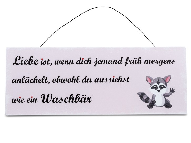 Wanddekoration Wandbild Schild Blechschild 40x15cm mit Spruch,- Waschbären aus Metall gefertigt-Dekoschild Bild mit Draht-Aufhängung