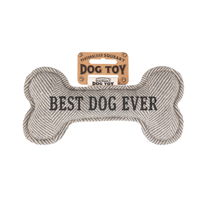 Quietschender Hunde Knochen form-Hundespielzeug Best Dog Ever -grey