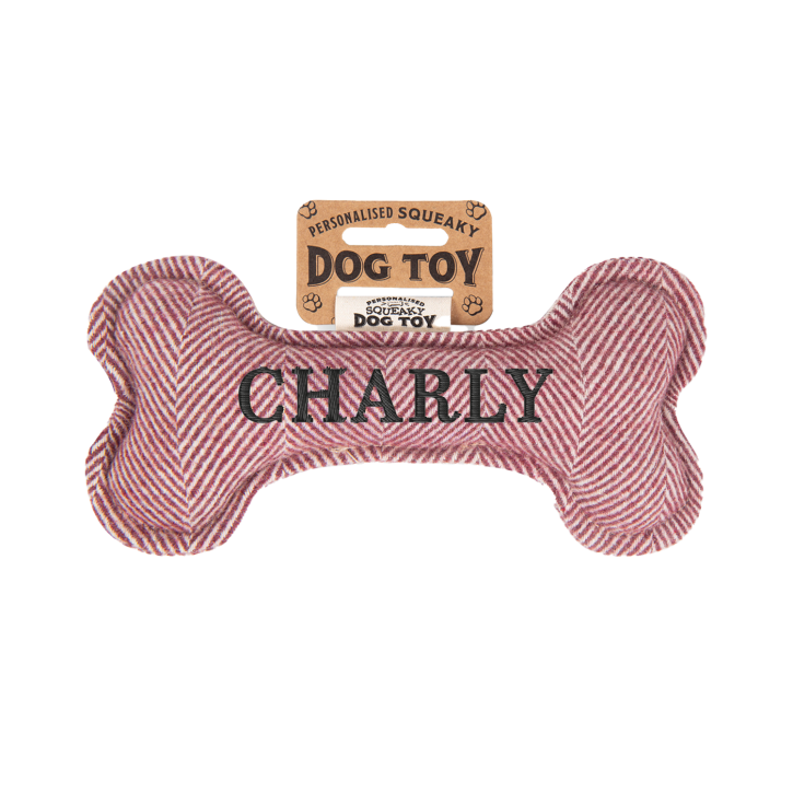 Quietschender Hunde Knochen form-Hundespielzeug Charly