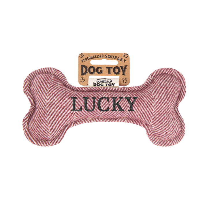 Quietschender Hunde Knochen form-Hundespielzeug Lucky
