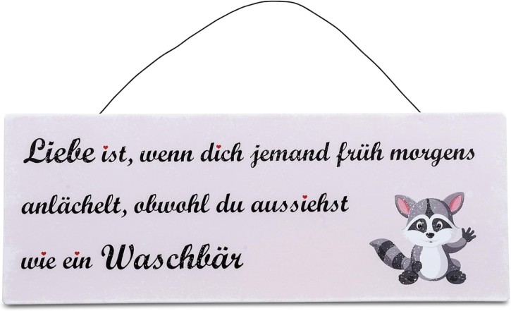 Wanddekoration Wandbild Schild Blechschild 40x15cm mit Spruch,- Waschbären aus Metall gefertigt-Dekoschild Bild mit Draht-Aufhängung