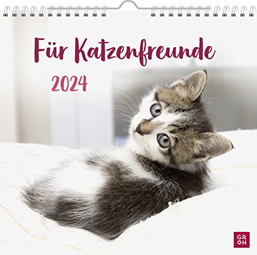 Für Katzenfreunde 2024: Wandkalender mit Monatskalendarium