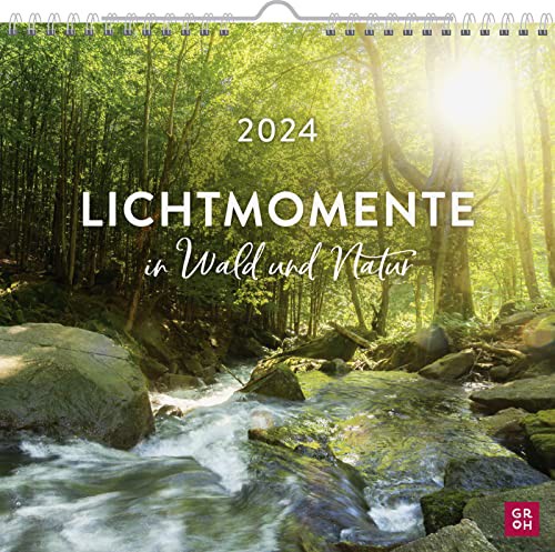 Lichtmomente in Wald und Natur 2024: Wandkalender 